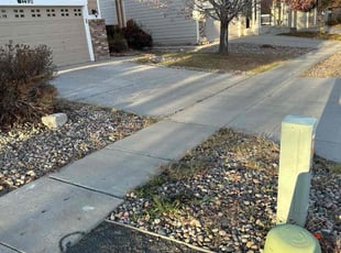 Leaf Removal by Andrew Fischer for Seth C. in Colorado Springs, CO