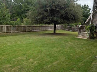 Tracy L.'s Yard Cutting service result