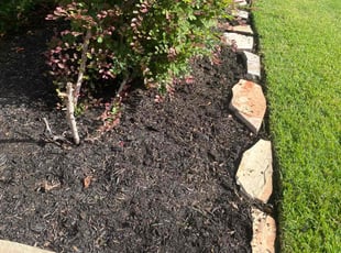 Weeding by Juan Wong for Mason M. in Cypress, TX