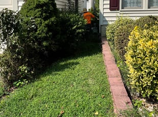 Bush Trimming by Carlos Portillo for Niki R. in Lorton, VA