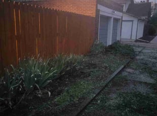 Weeding by Kevin Johnson for Karol S. in Denver, CO