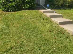 Tanya C.'s Lawn Care service result