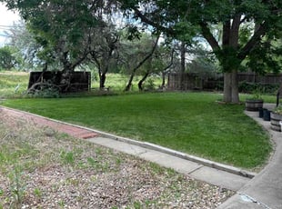 Patty S.'s Yard Cutting service result