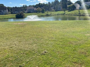 Trisha A.'s Lawn Care service result