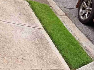 Bush Trimming by Raymond Hite-Witt for Malcolm K. in Lawrenceville, GA
