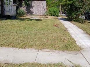 Cleanups by Ana Zelaya for Nancy K. in Houston, TX
