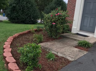 Weeding by Margarito Cardona for Marie U. in Chantilly, VA