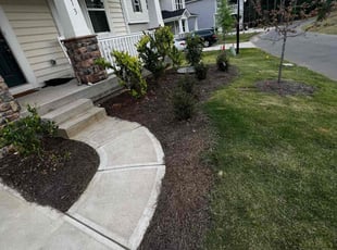 Weeding by Chris Lynn for Nathaniel P. in Charlotte, NC
