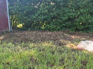 Leaf Removal by Joshuah Tanthorey for Dave B. in Virginia Beach, VA