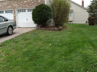 Bush Trimming by James Buchanan for Taurus D. in Lee's Summit, MO