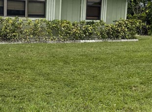 Mark F.'s Bush Trimming service result