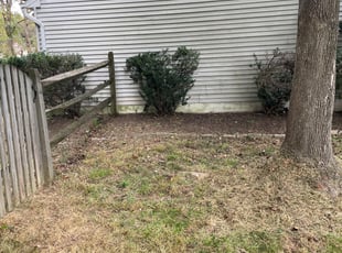 Weeding by Joseph Muluya for Greg S. in Columbia, MD