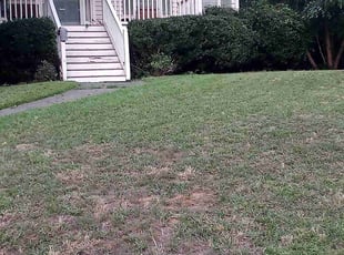 Bush Trimming by Elvin Dobbs for Karen T. in Dallas, GA