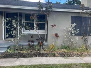 Bush Trimming by Leeandra Terry for Cory c. in Tampa, FL