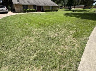 Cleanups by Jeffrey Robison for Ashley S. in Tyler, TX
