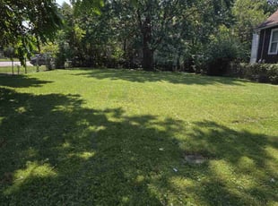 Matthew H.'s Lawn Mowing service result