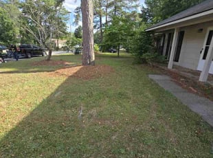 Cleanups by Valecia Thompson for Veridson F. in Fayetteville, NC