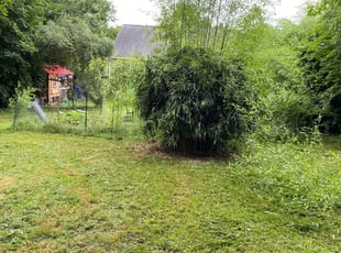 Leaf Removal by David Santiago for Micah R. in Meriden, CT