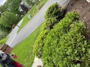 Leaf Removal by Evans Ogamba for Don F. in Harrisburg, PA