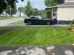 Mark s.'s Lawn Mowing service result