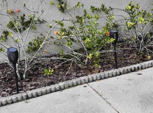 Weeding by Cari Butler for Rhonda E. in Brandon, FL