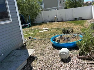 Cleanups by Devin Brown for Philip H. in Denver, CO