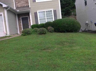 Bush Trimming by Enrique Juarez for Fred M. in Canton, GA