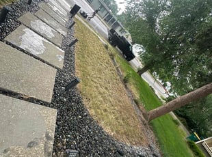 Leaf Removal by Brenna Rivera for Arman P. in Englewood, CO
