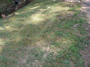 Leaf Removal by Ryan Munsey for Michael A. in Fort Mill, SC