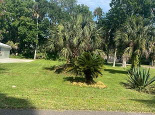 Vikki P.'s Lawn Service service result