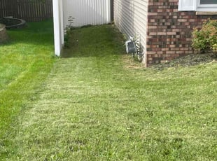 Felicia B.'s Lawn Service service result