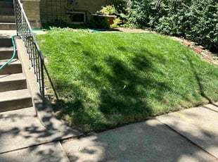 Whitney G.'s Lawn Care service result