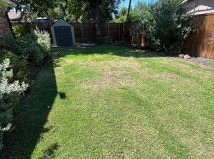 Bush Trimming by Tyler E for Krista H. in Euless, TX