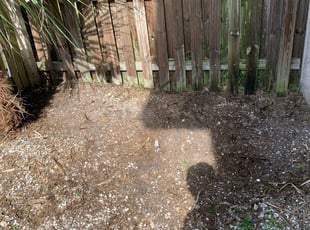 Leaf Removal by Carlos Gonzalez for Desiree W. in Davenport, FL