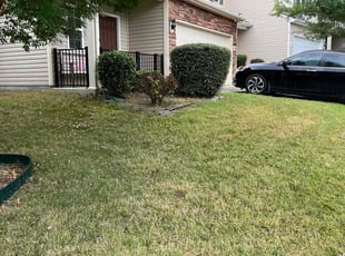 Bush Trimming by Claude Batts for Devin R. in Charlotte, NC