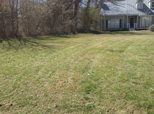 Leaf Removal by Rickey McCoy for Cynthia P. in Stone Mountain, GA