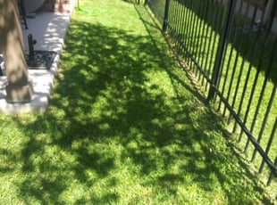 David K.'s Lawn Care service result