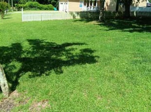 Ken P.'s Lawn Service service result