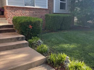 Bush Trimming by Chad Suenram for Dean C. in Andover, KS