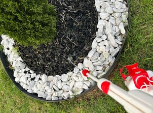 Weeding by Christina Slaughter for Lisa H. in Stockbridge, GA