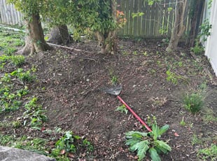 Cleanups by Davon Lightfoot for GiTonya P. in Richmond, VA