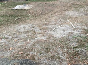 Leaf Removal by The Business for Angela S. in Richmond, VA