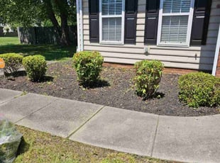 Bush Trimming by Marie Torres for Pia H. in High Point, NC