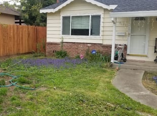 Cleanups by Joshua Muehe for Brooke k. in Orangevale, CA