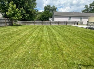 Ferran T.'s Lawn Maintenance service result