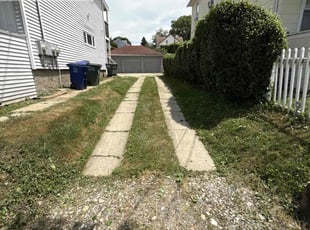Bush Trimming by Maicon Coelho for Sammi J. in Bridgeport, CT