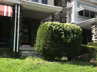 Bush Trimming by Darren Burch for Crystal J. in Philadelphia, PA