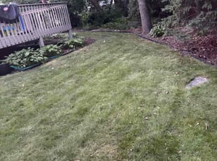 Weeding by Shakyra Wheeler for Anthony G. in Lakeville, MN