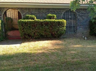 Bush Trimming by Gralin Johnson for LawnLove 1. in Fort Worth,, TX