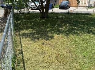 Cleanups by Jonatan Santos for Samara C. in Alexandria, VA